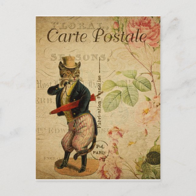 Carte Postale. Vintage Katt. Vykort (Framsida)