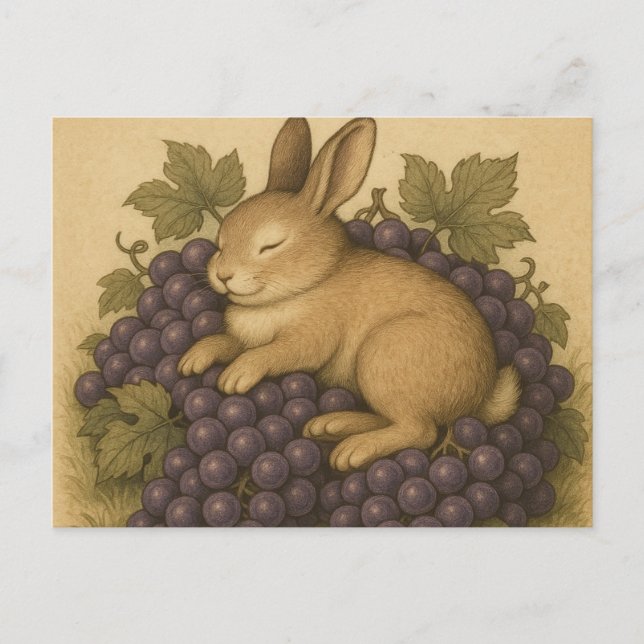 Carte postale vykort (Framsida)