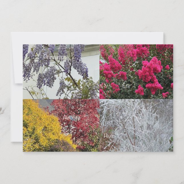 Carte simple Les Quatre Saisons (Framsida)