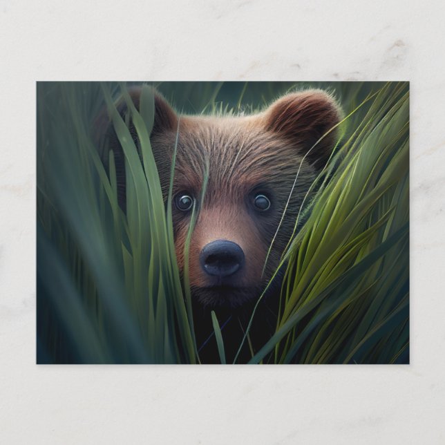 Cartes Postales bear herbe Vykort (Framsida)