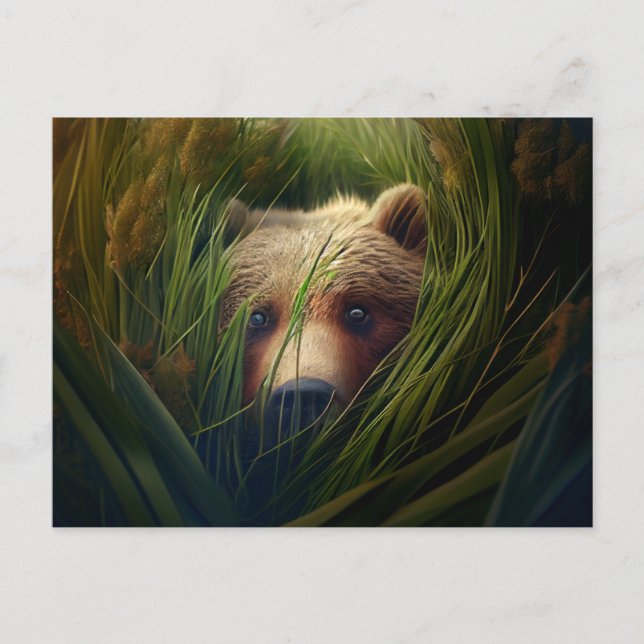 Cartes Postales bear herbe Vykort (Framsida)