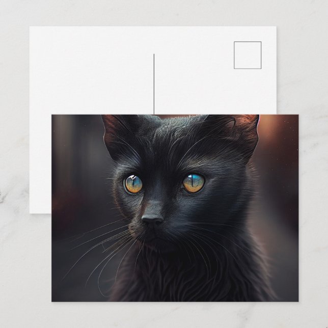 Cartes Postales Black Cat Vykort (Fram/baksida)