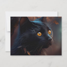 Cartes Postales Black Cat Vykort