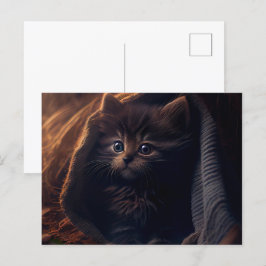 Cartes Postales Black Cat Vykort