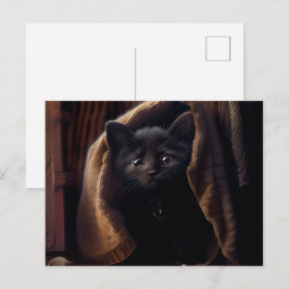 Cartes Postales Black Cat Vykort
