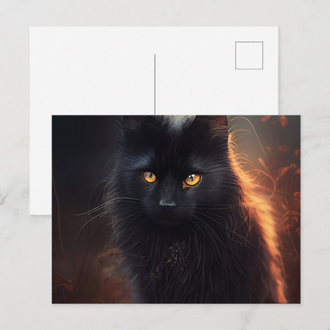 Cartes Postales Black Cat Vykort (Fram/baksida)