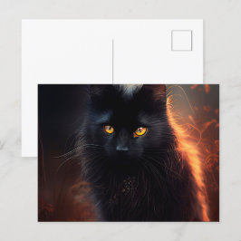 Cartes Postales Black Cat Vykort