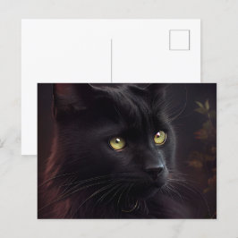 Cartes Postales Black Cat Vykort