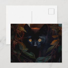 Cartes Postales Black Cat Vykort
