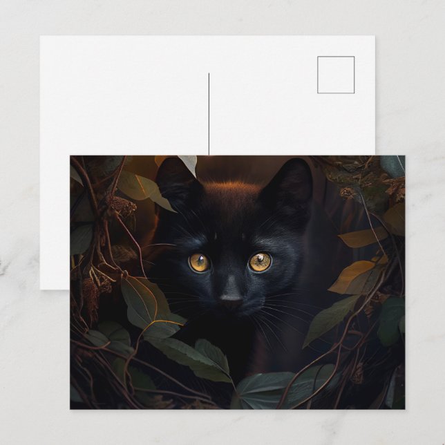 Cartes Postales Black Cat Vykort (Fram/baksida)