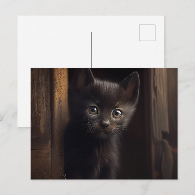 Cartes Postales Black Cat Vykort (Fram/baksida)