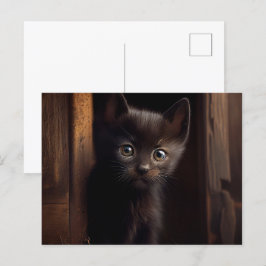 Cartes Postales Black Cat Vykort