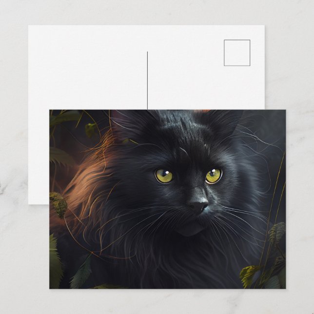Cartes Postales Black Cat Vykort (Fram/baksida)