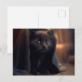 Cartes Postales Black Cat Vykort