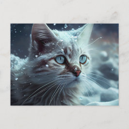 Cartes Postales Cat Divers Vykort