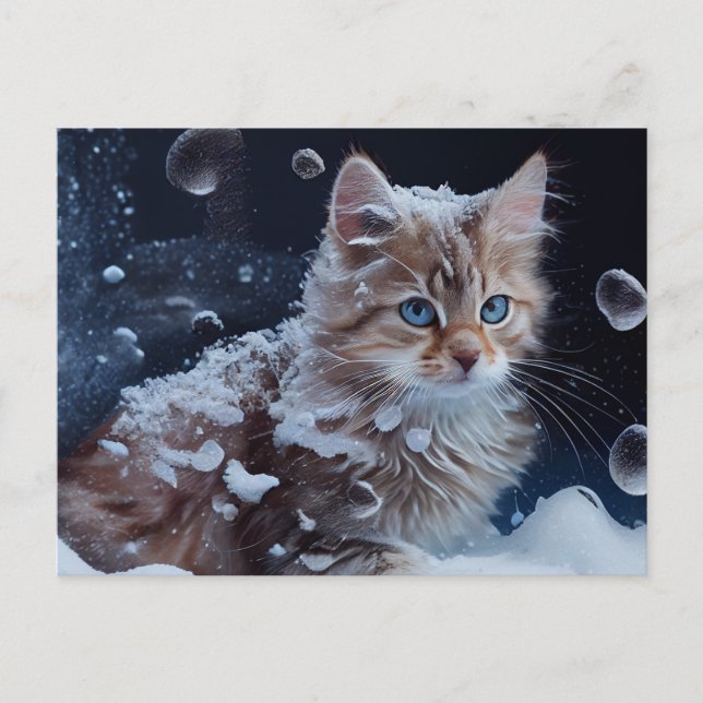 Cartes Postales Cat Divers Vykort (Framsida)