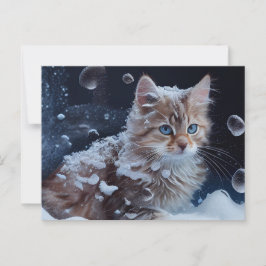 Cartes Postales Cat Divers Vykort