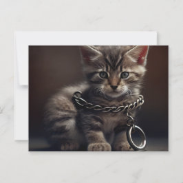 Cartes Postales Cat prisoner Vykort