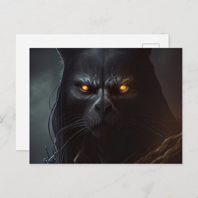 Cartes Postales Chat capuche Vykort (Fram/baksida)