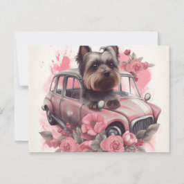 Cartes Postales Dog Yorkshire Vykort