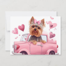 Cartes Postales Hund Yorkshire