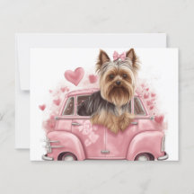 Cartes Postales Hund Yorkshire