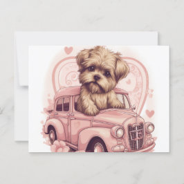 Cartes Postales Hund Yorkshire Vykort