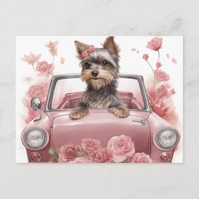 Cartes Postales Hund Yorkshire Vykort (Framsida)
