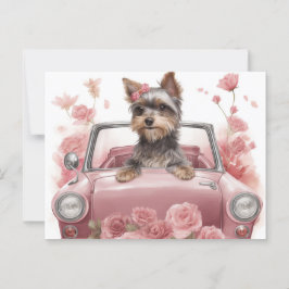 Cartes Postales Hund Yorkshire Vykort