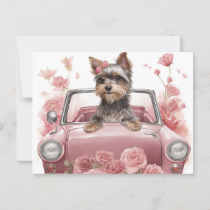 Cartes Postales Hund Yorkshire Vykort