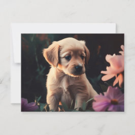 Cartes Postales Puppy Vykort