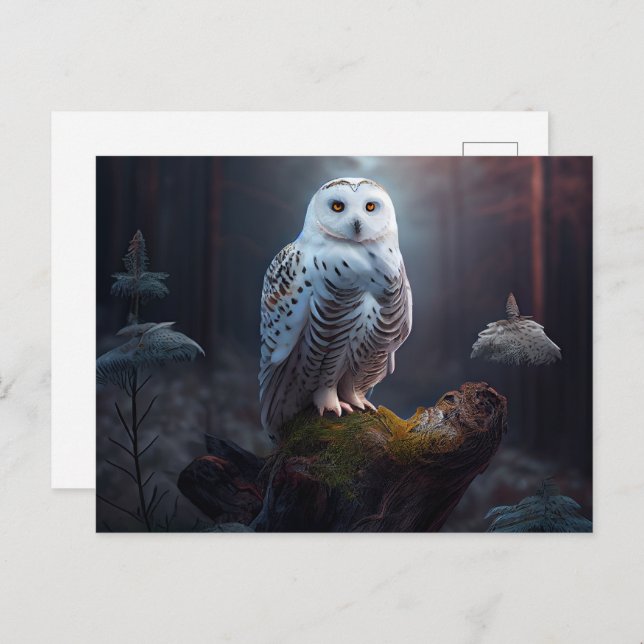 Cartes Postales snowy owl Vykort (Fram/baksida)