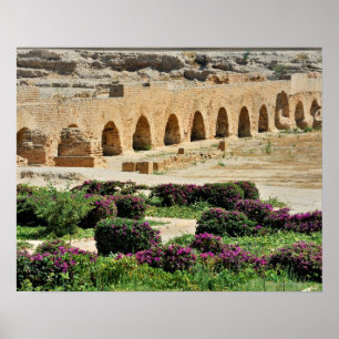 Carthage forntida Punic stad som förstörs och Poster