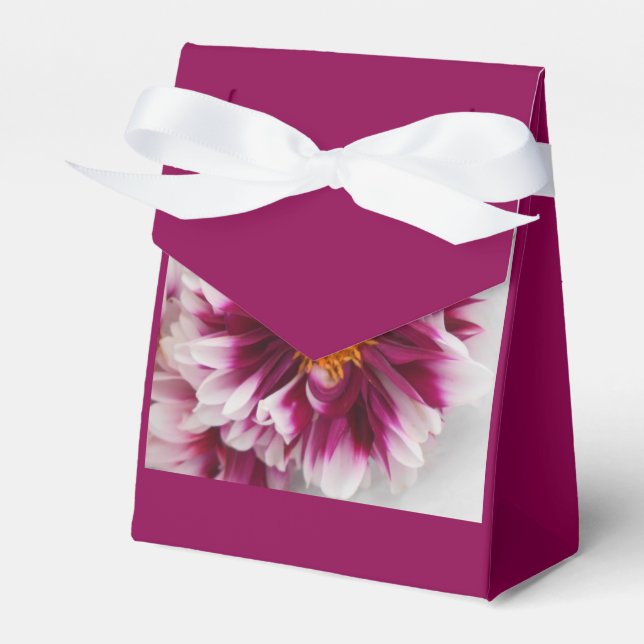 Cartheuserin Presentaskar (Framsidan Sidan)