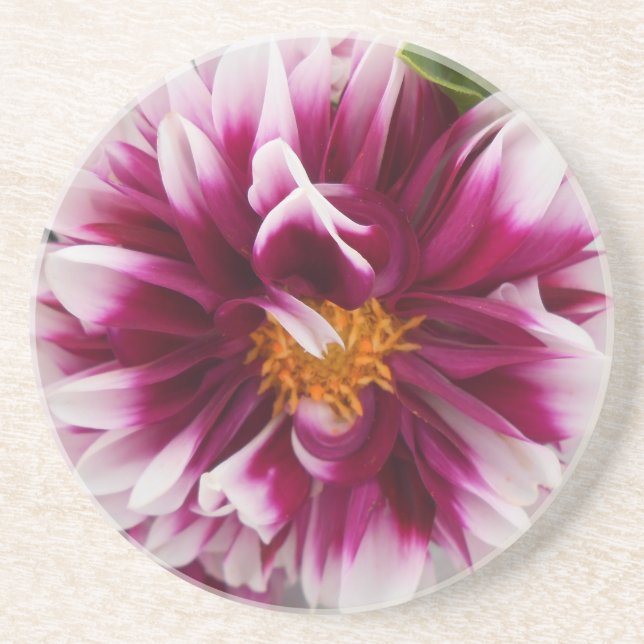 Cartheuserin Underlägg Sandsten (Framsidan)