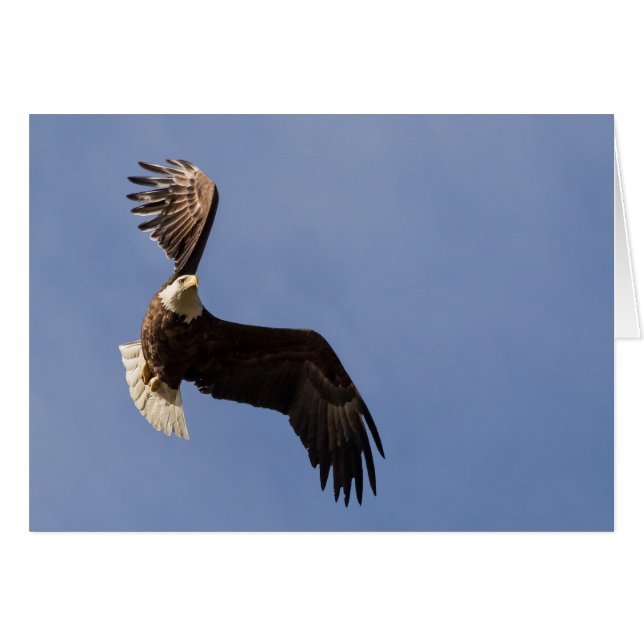 Carting Himlar Hälsningskort (Framsidan Horizontal)