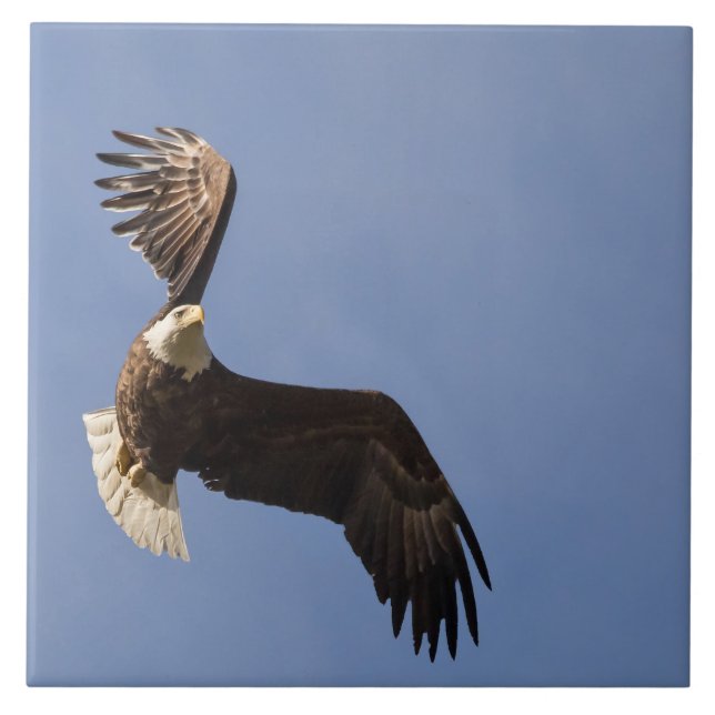 Carting Himlar Kakelplatta (Framsidan)