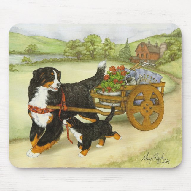 Carting Musmatta (Framsidan)