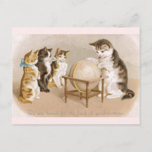 Cartografer Cat och tre Kittens Vykort