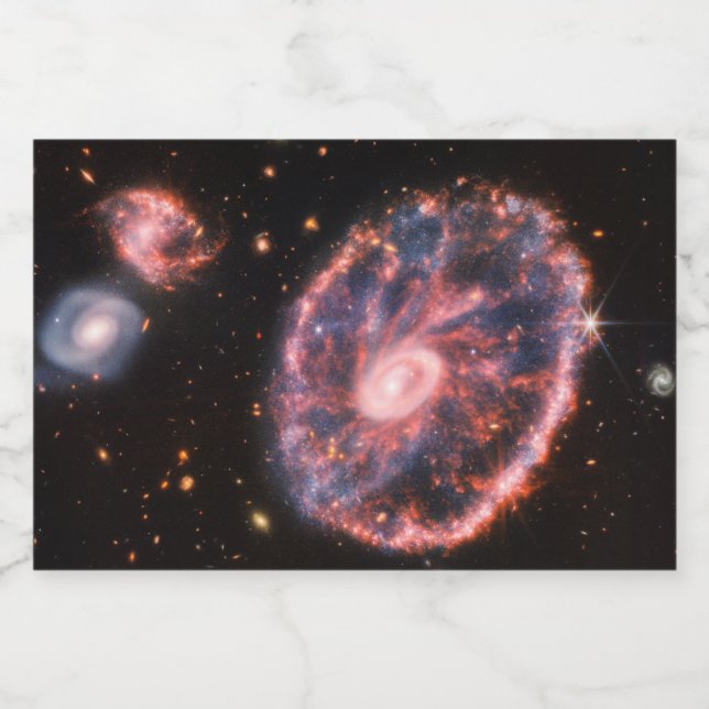 CartWheel Galaxy, James Webb Space Telescope (Enkel etikett)