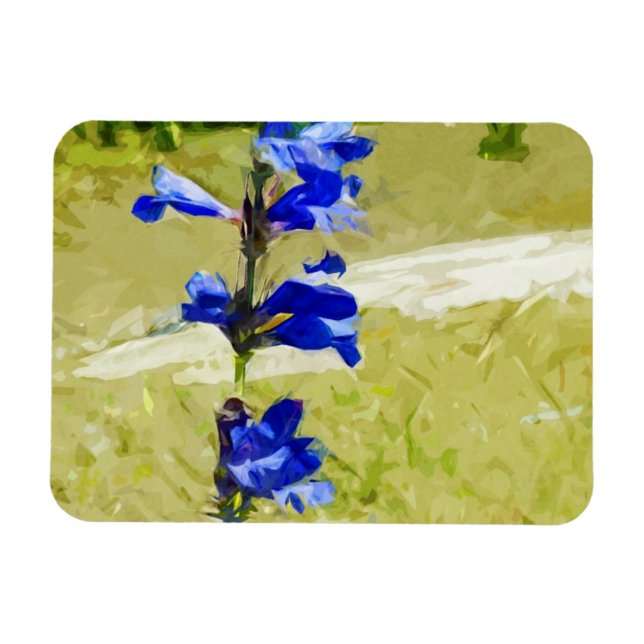 Carys Beardtongue Flower Abstrakt Impressionism Magnet (Horisontell)