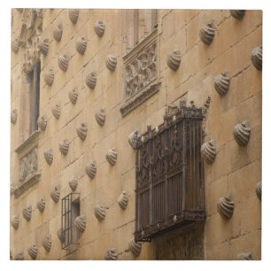 Casa de las Conchas, Skalens hus Kakelplatta