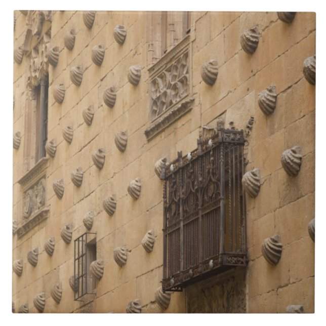 Casa de las Conchas, Skalens hus Kakelplatta (Framsidan)