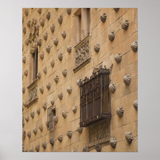 Casa de las Conchas, Skalhus Poster (Framsidan)