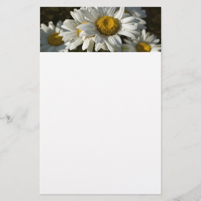 Casacding daisybrevpapper brevpapper (Framsida)
