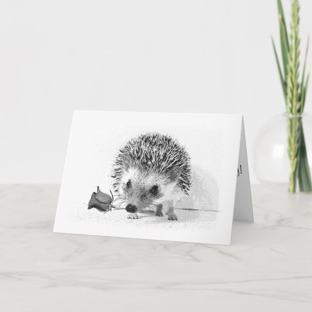 Casanova hedgehog holding rose in mouth kort (Framsida)