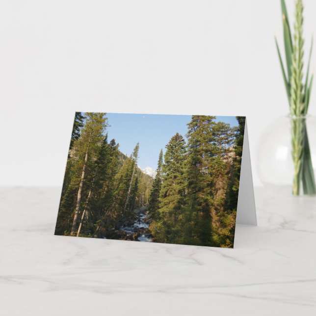 Cascade Bäck vid Grand Teton Kort (Framsida)