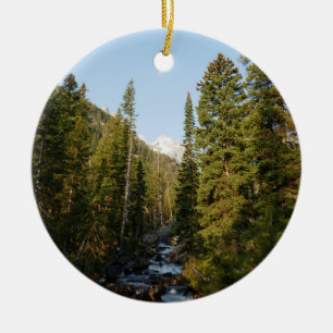 Cascade Creek vid Grand Teton Julgransprydnad Keramik