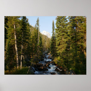 Cascade Creek vid Grand Teton Poster