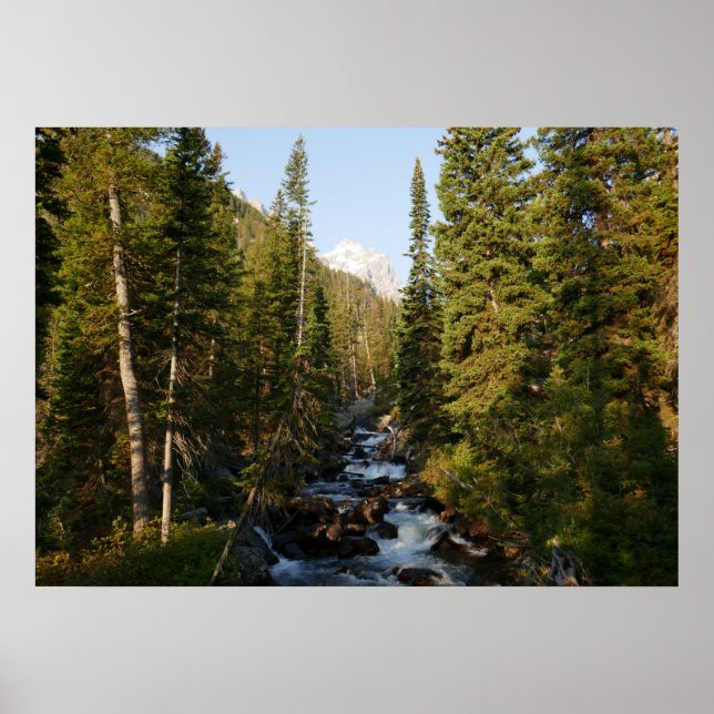Cascade Creek vid Grand Teton Poster (Framsidan)